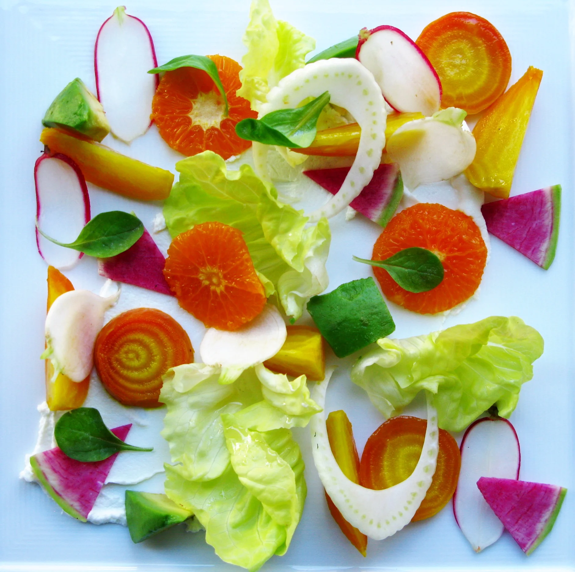 beet 1.jpg