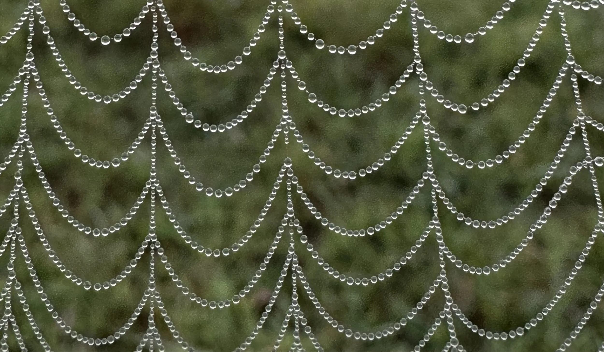 Dewdrop Beads of Light