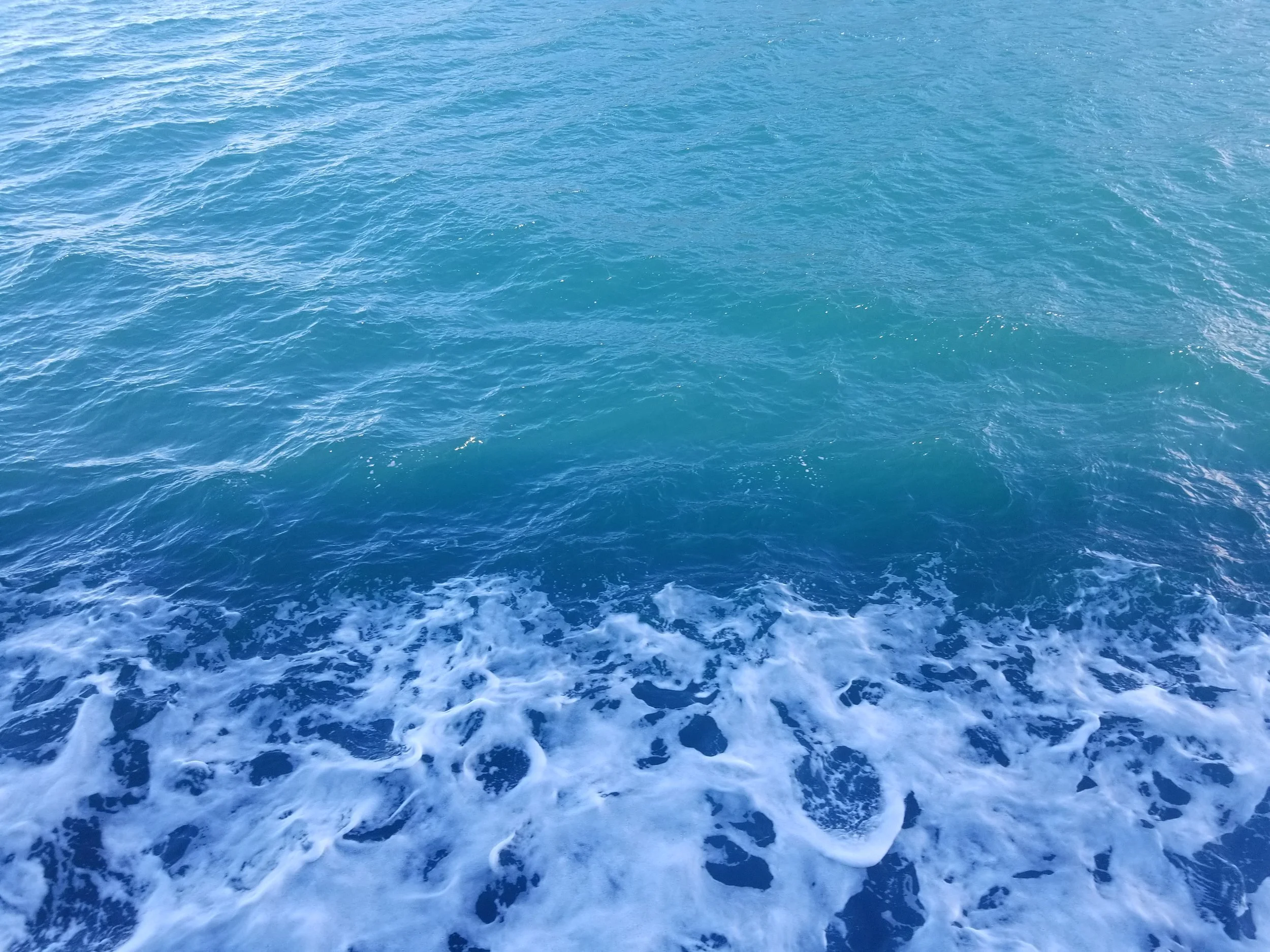20190302_142950.jpg
