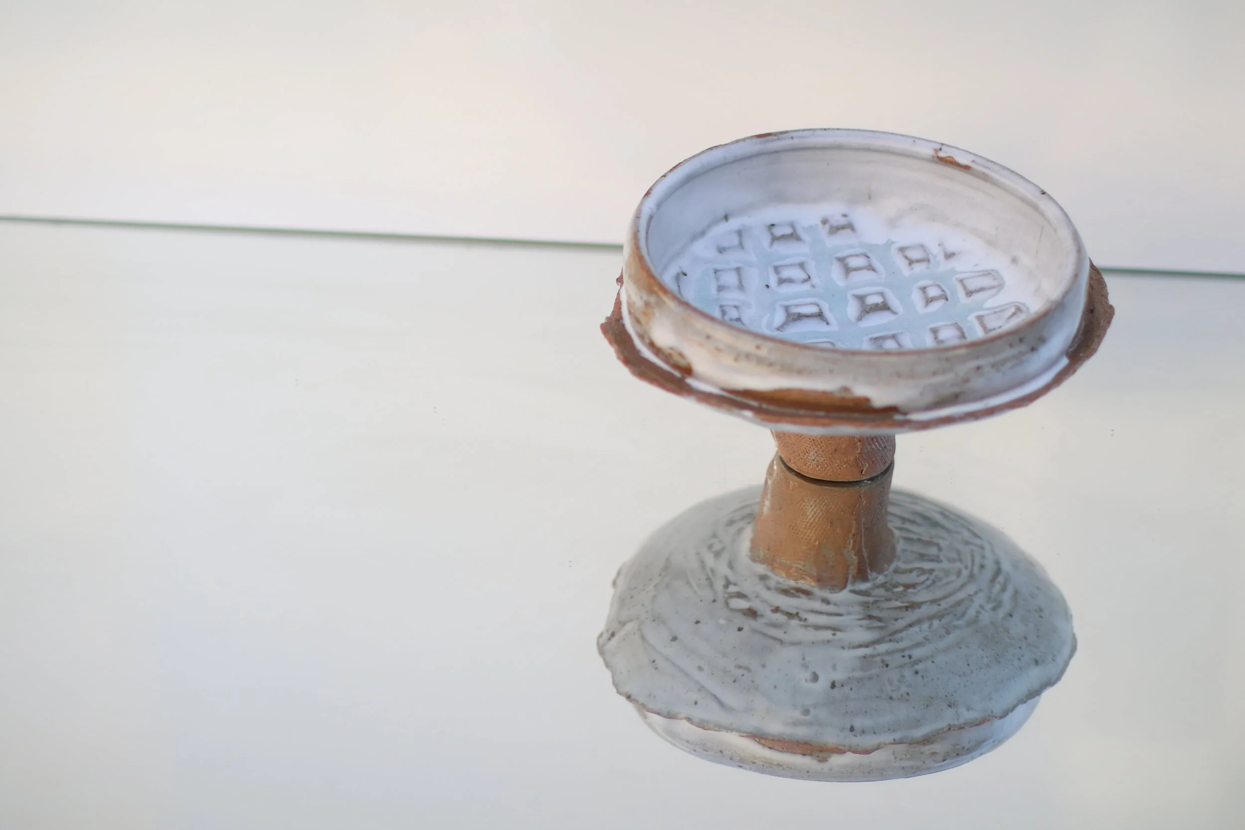  . rogue focus .&nbsp; 