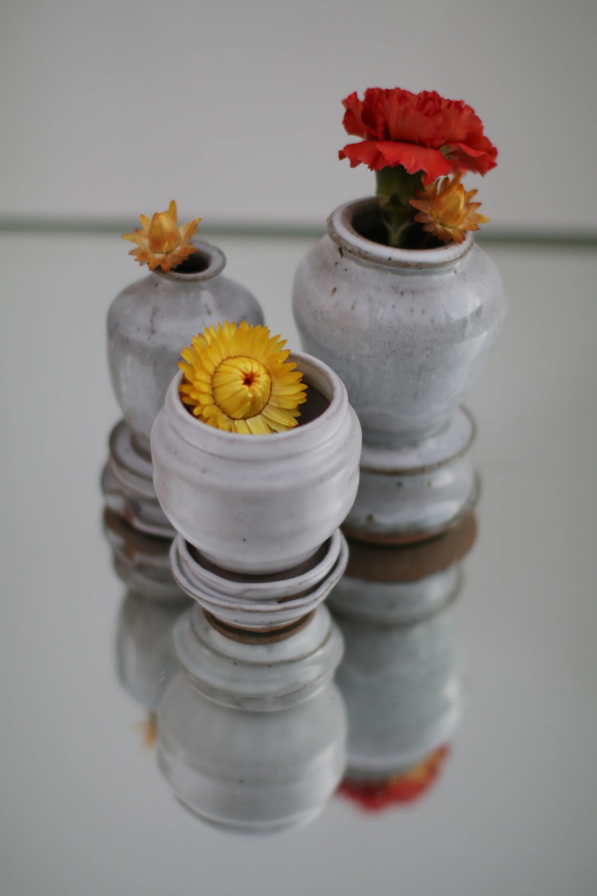  . hermanas de la oja .&nbsp; 