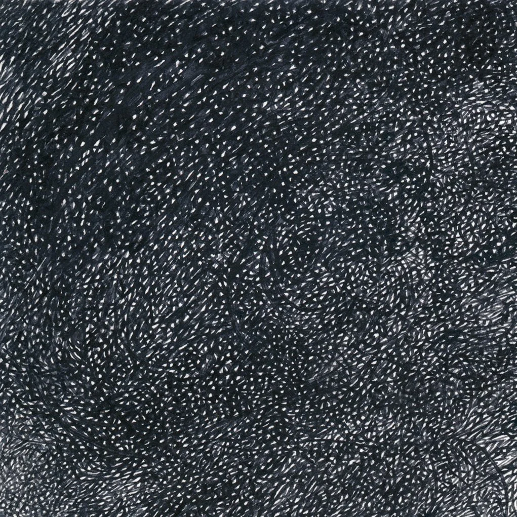 Fold 2017 pen A2 0008 sm.jpg