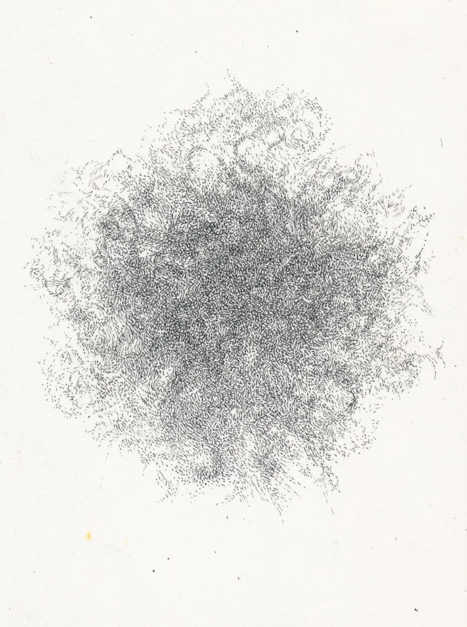 A2 0019.jpg