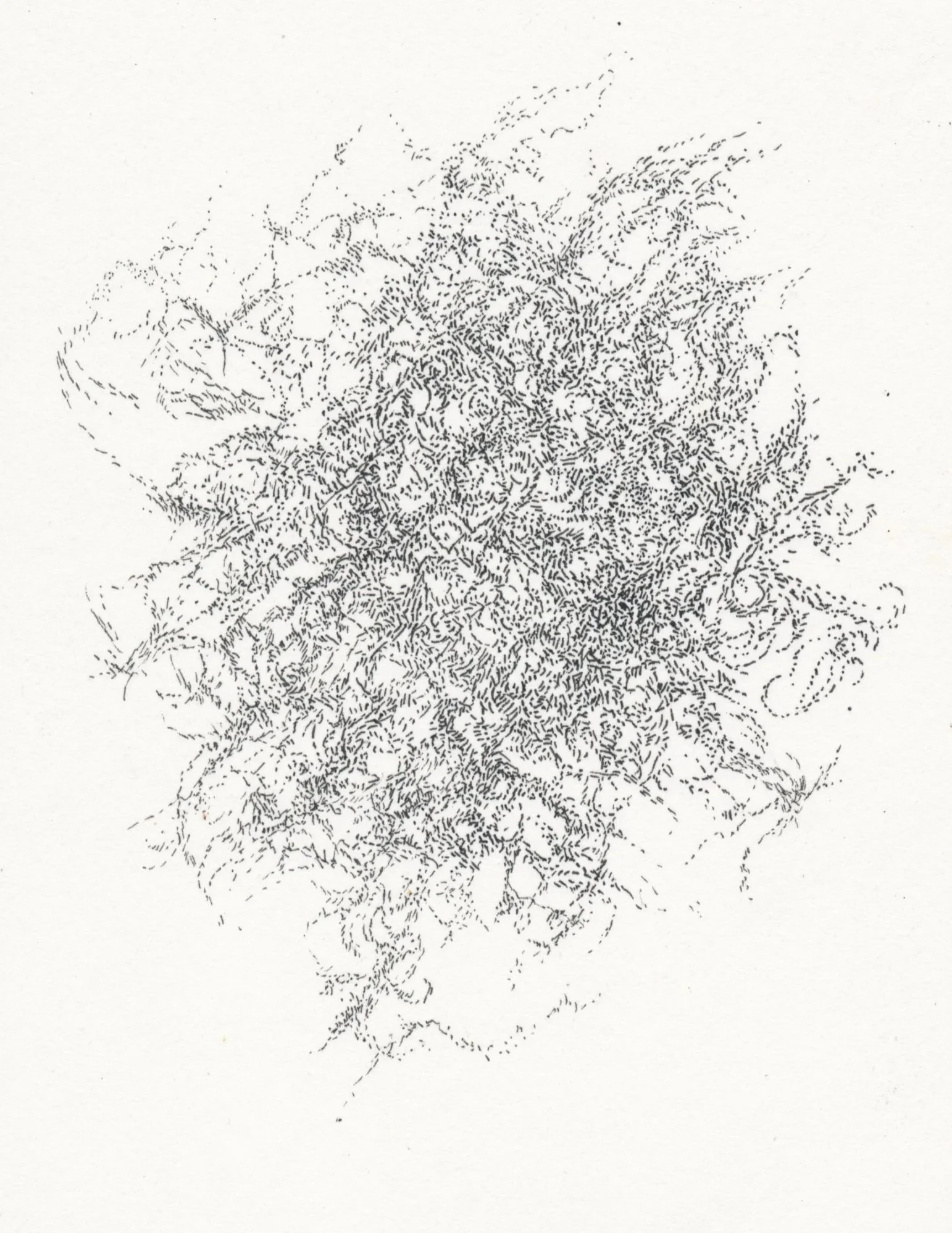 A2 0018.jpg