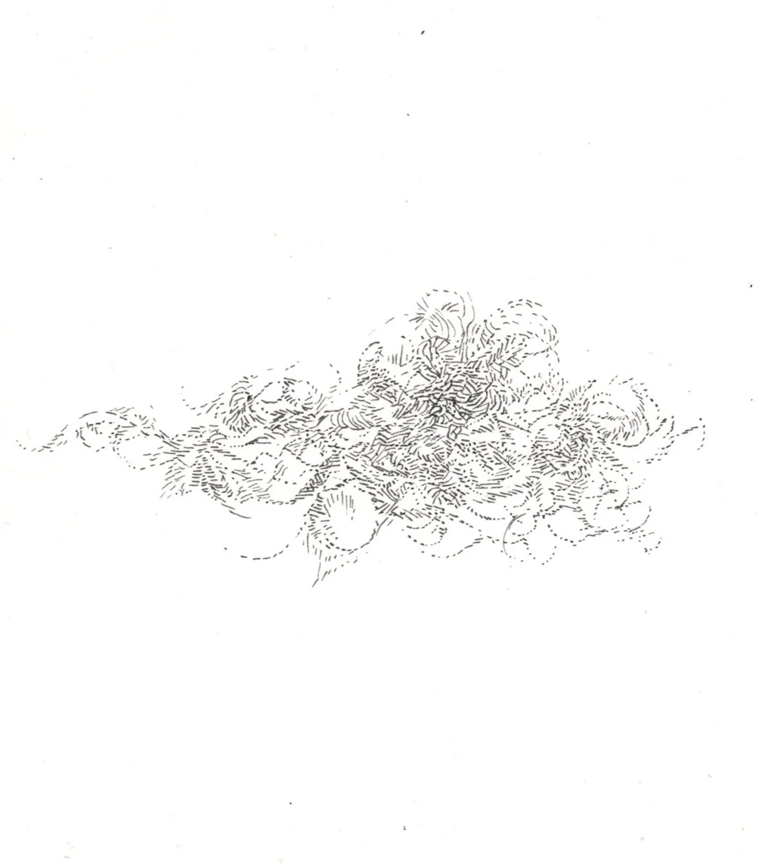 A2 0010.jpg