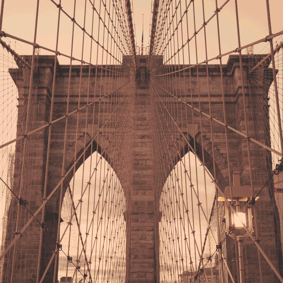 Brooklyn monoline animation write on by Noah Camp