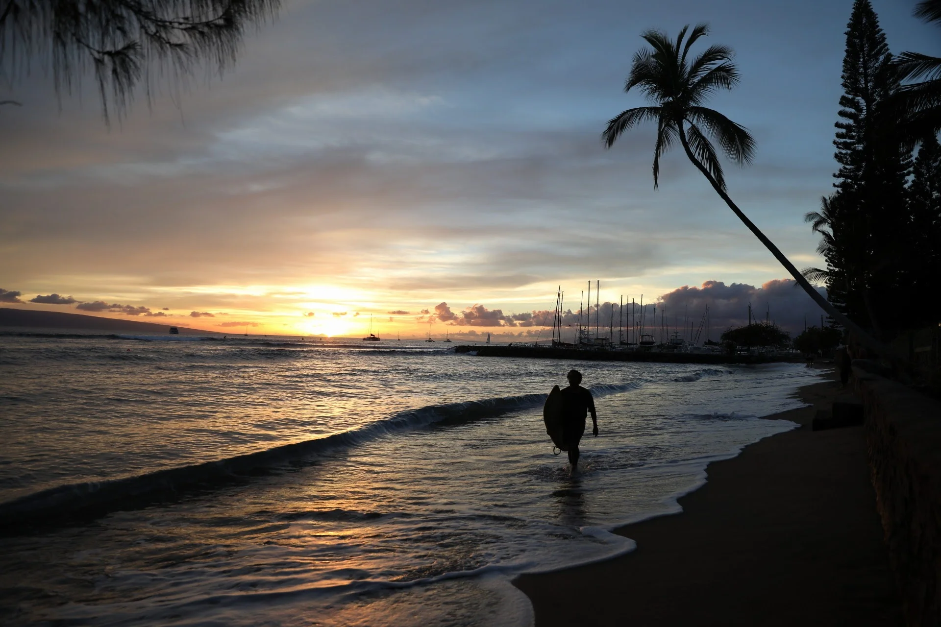 Surf - Maui Island, Hawaï