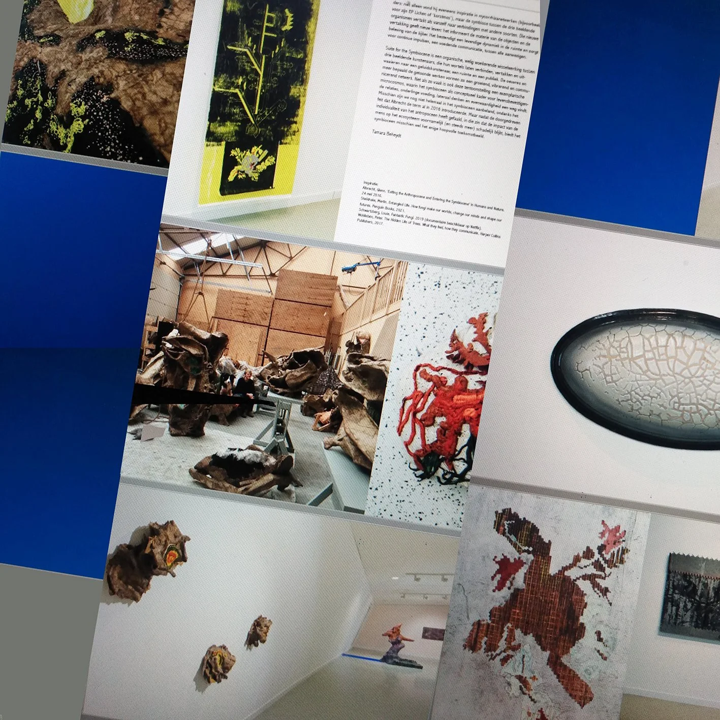  publication of 'Suite for the Symbiocene' @ CC Zwaneberg, Heist-op-den-Berg 