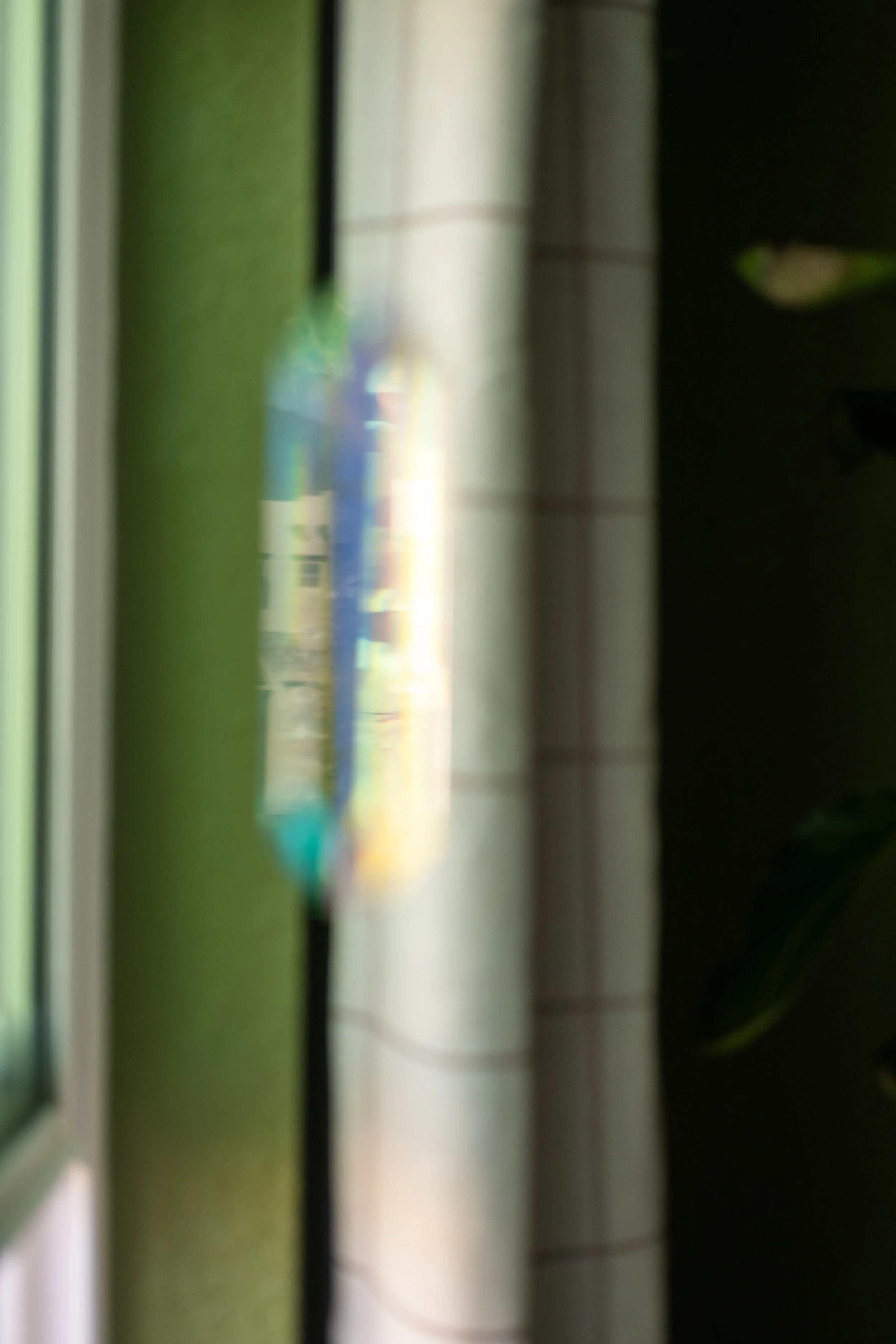 20250903_bash-11.jpg