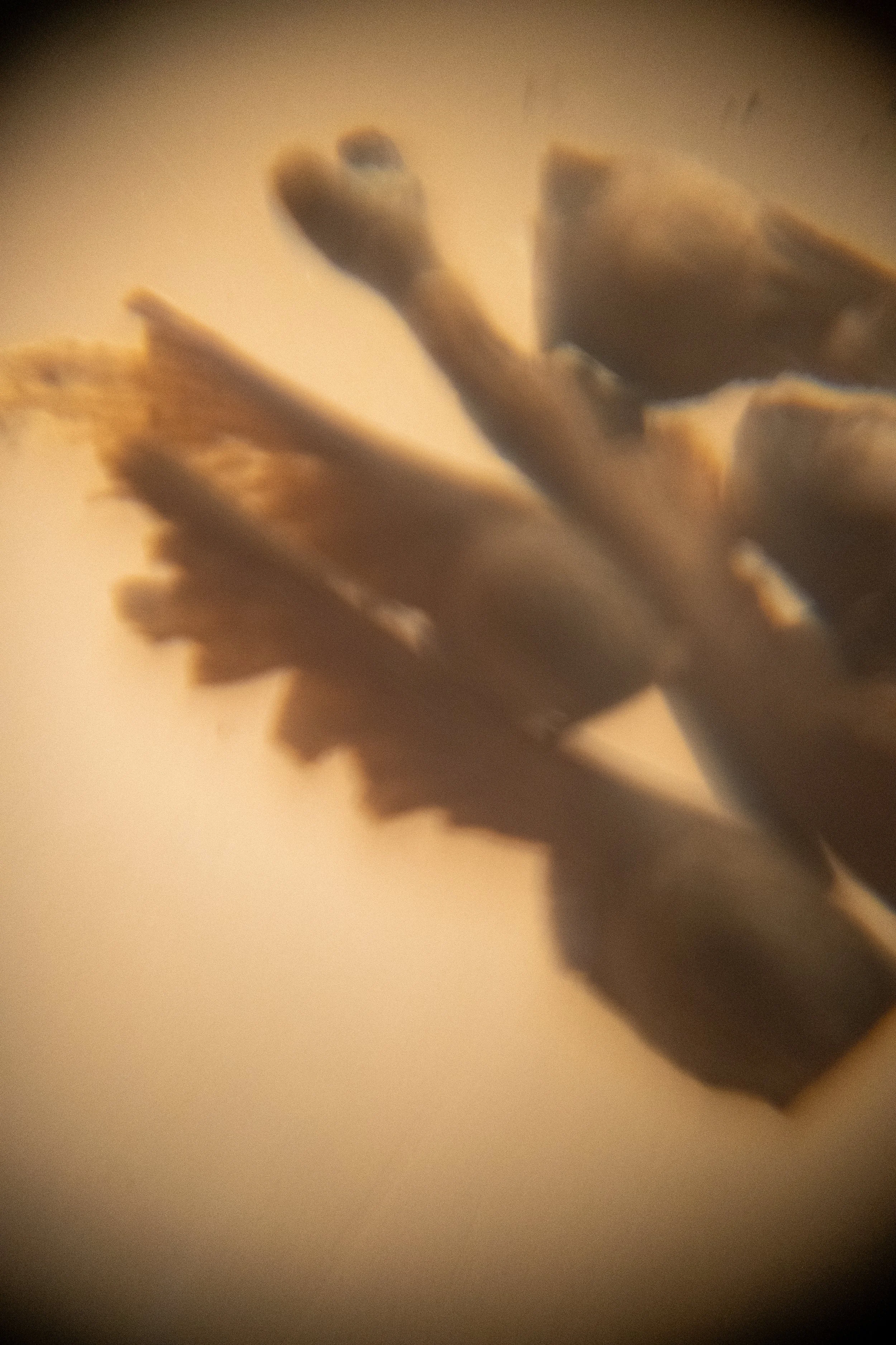 20250913_seed-4.jpg