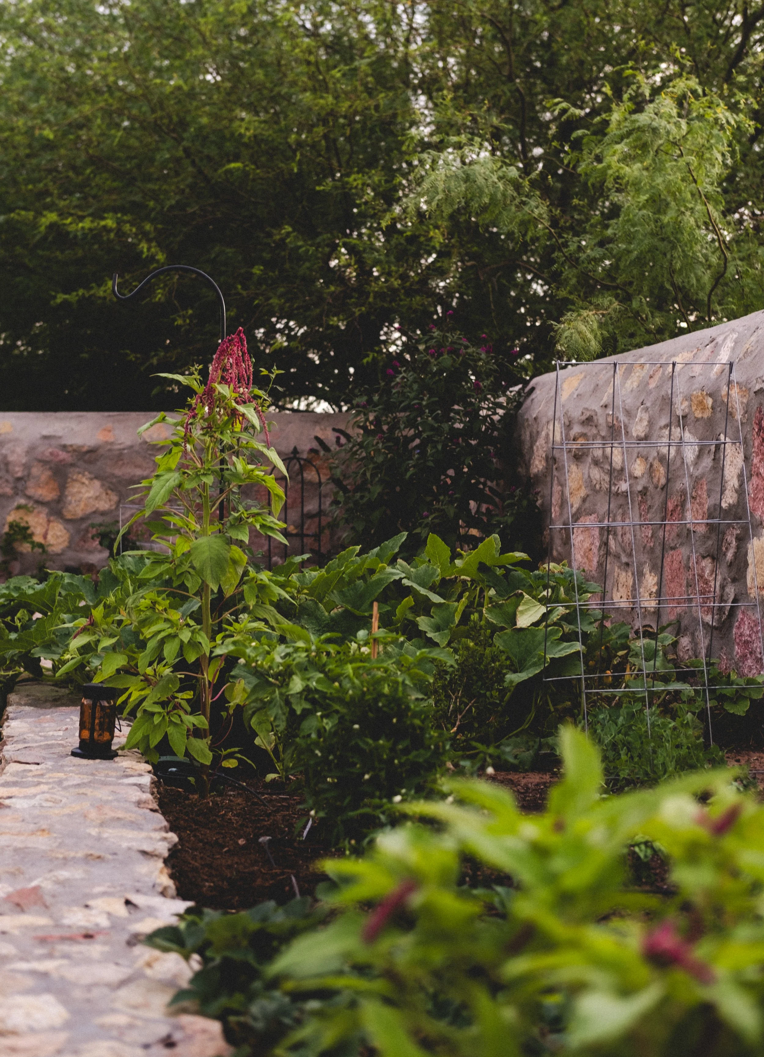 MAY GARDEN