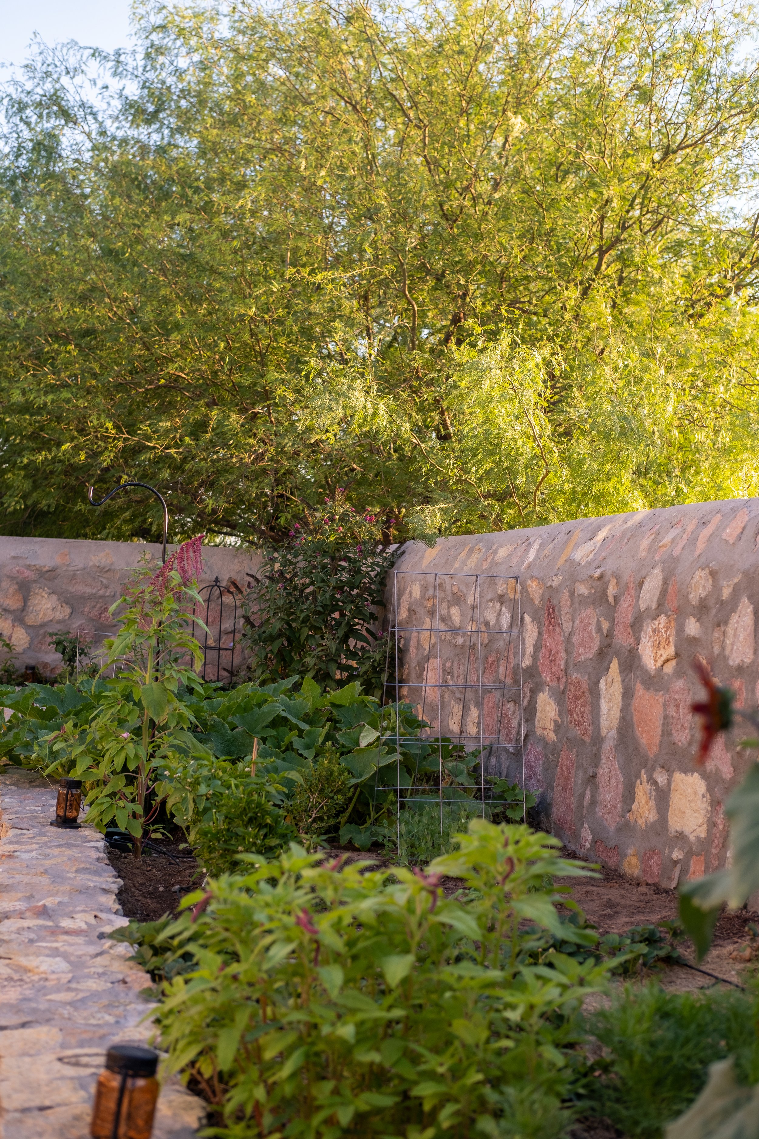eveninggarden-1.jpg
