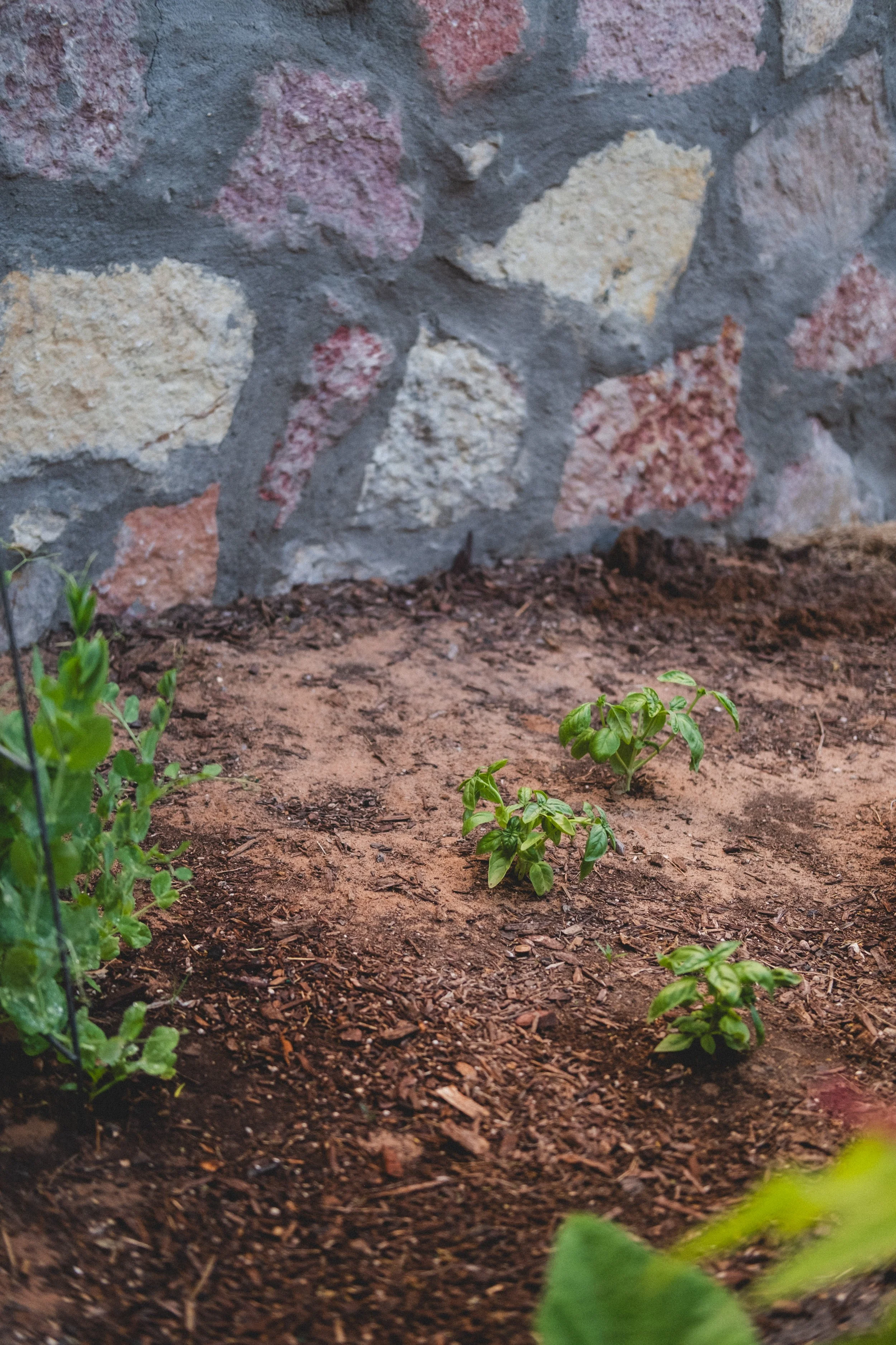 eveninggarden-21.jpg