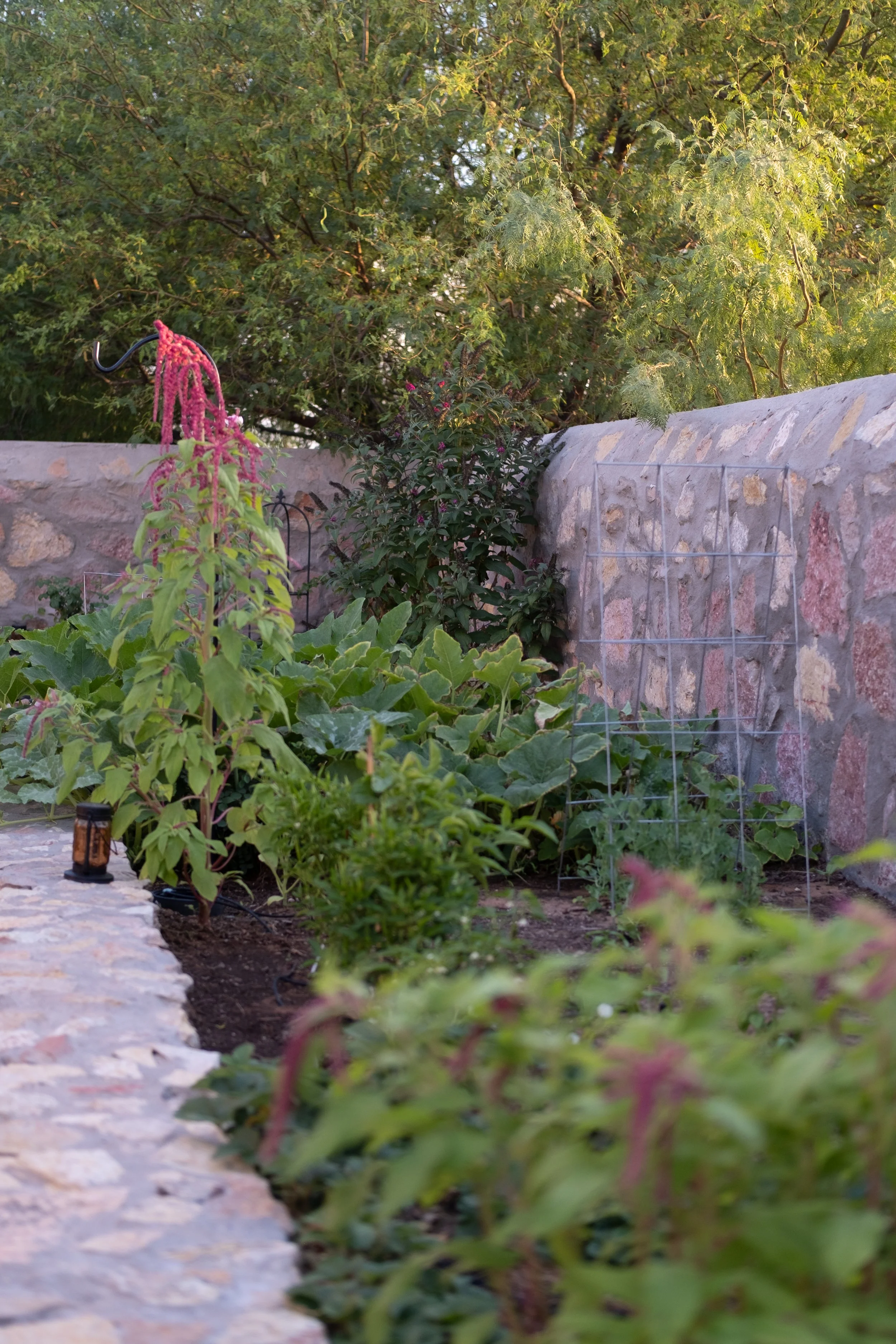 eveninggarden-13-2.jpg