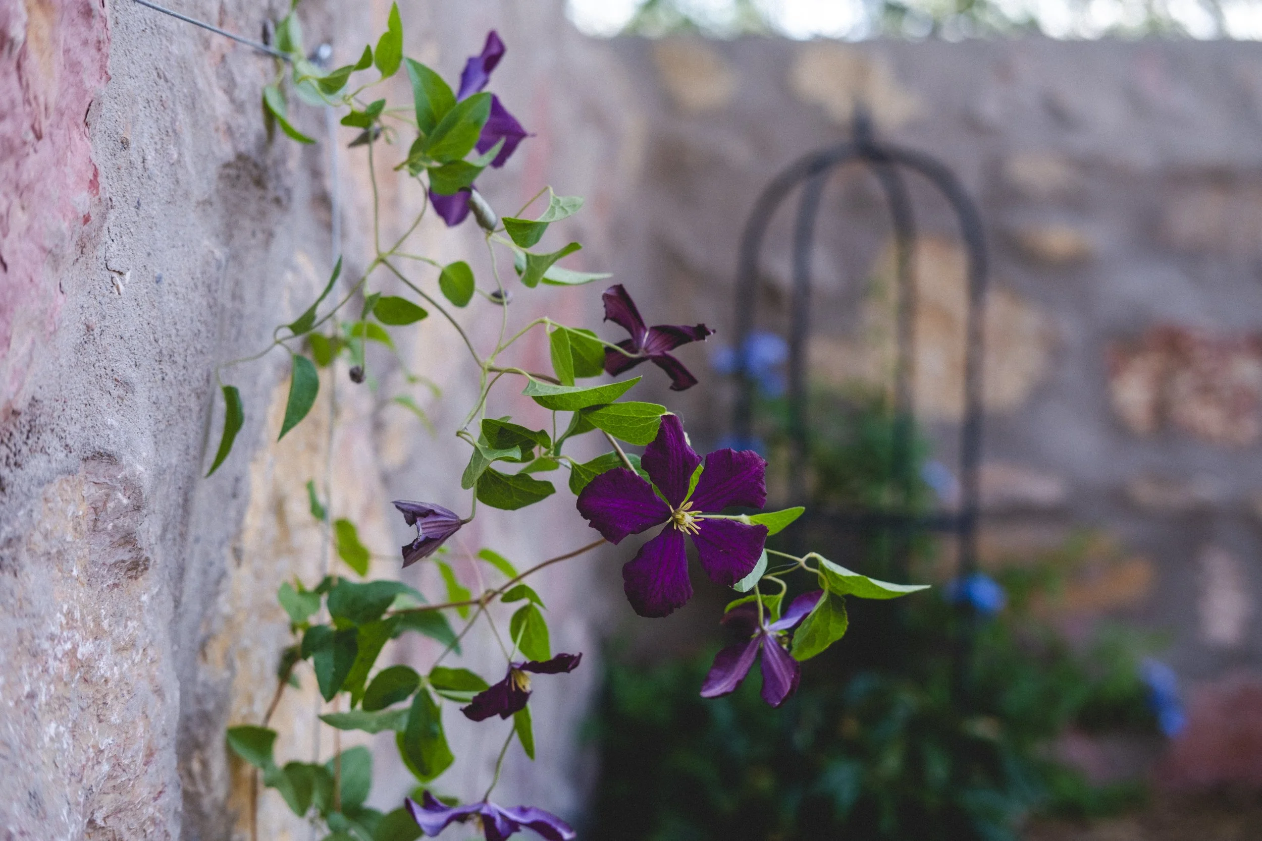 Growing Garden 
