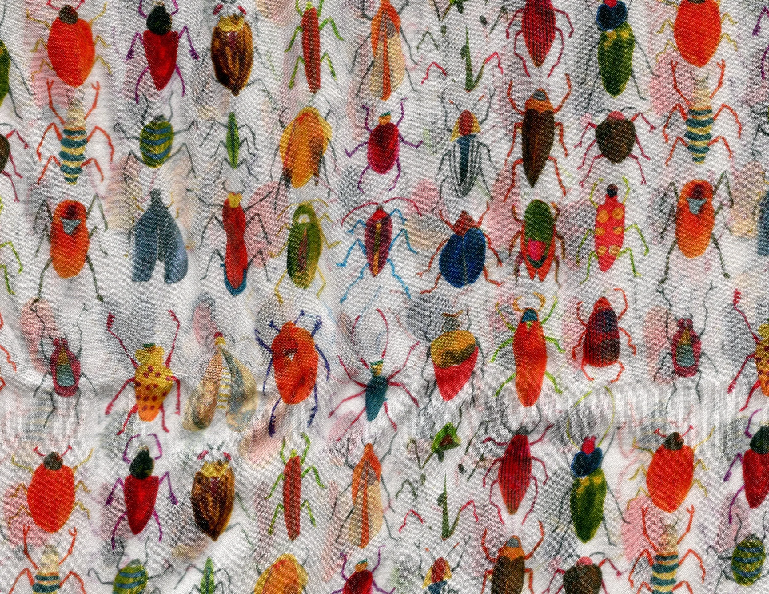 Fish and Insects 
