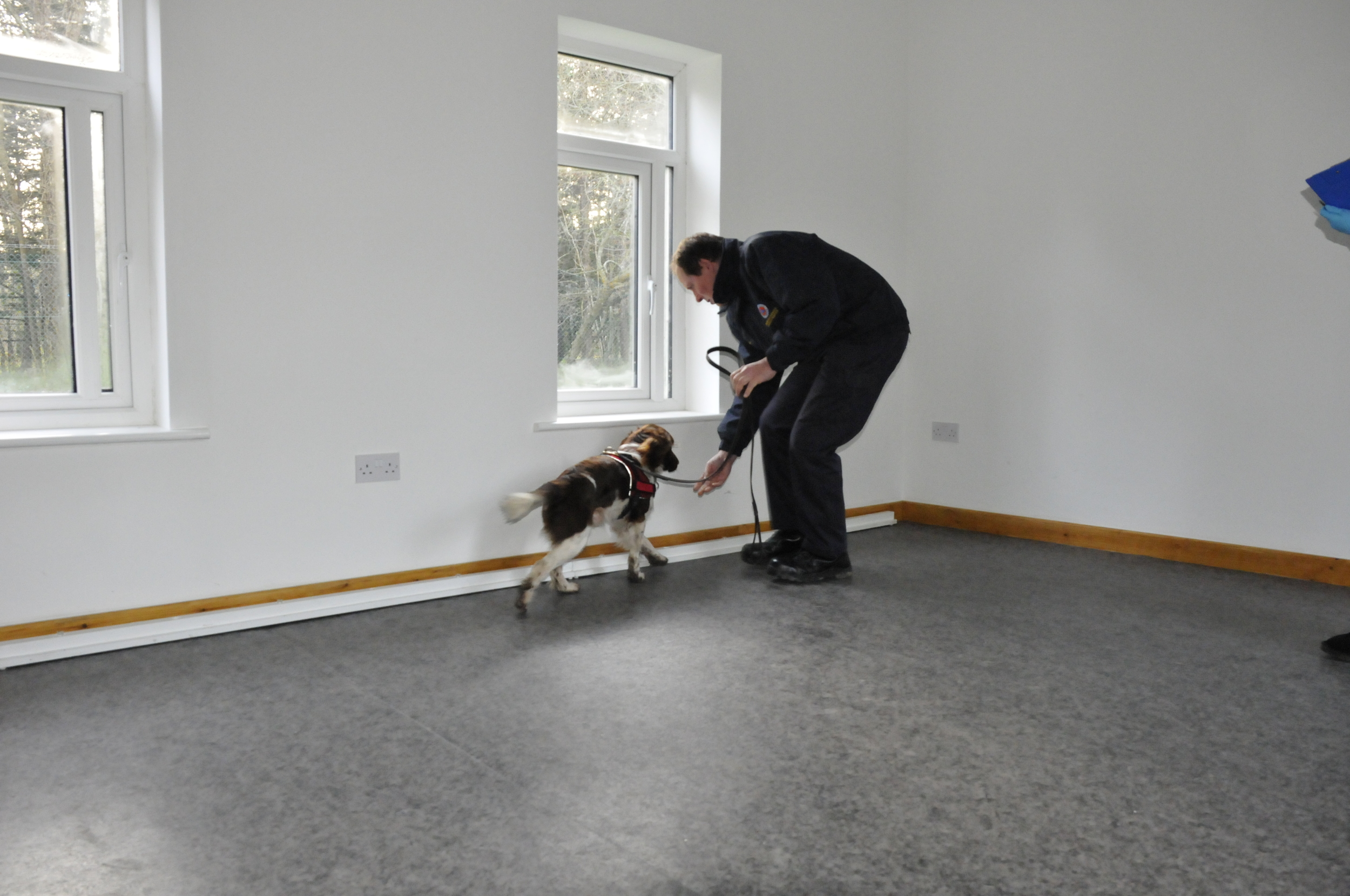 Research Seminar for K9 Victim Recovery