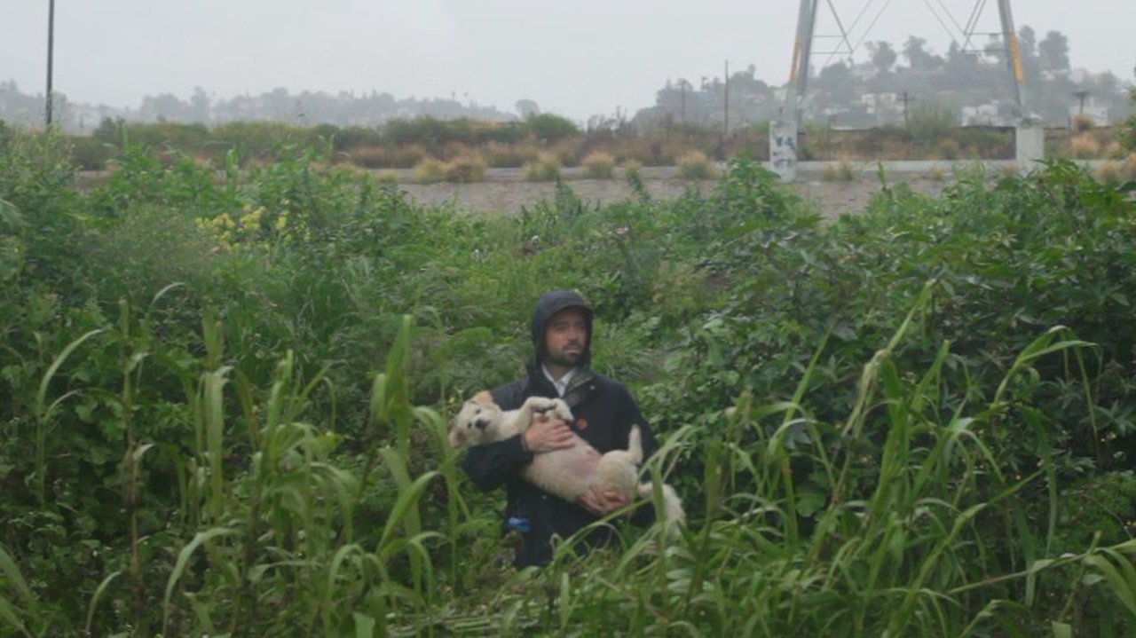 Vimeo Festival + Awards Judge: Andy Bruntel