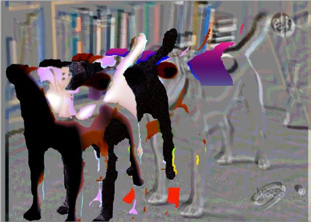 3.jpeg
