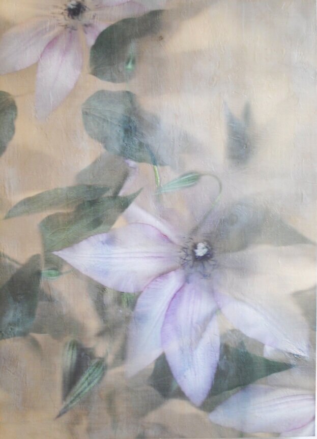 Light+Clematis++small.jpg