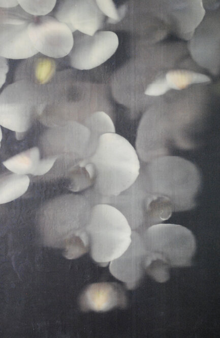White Cascading Orchids small.jpg