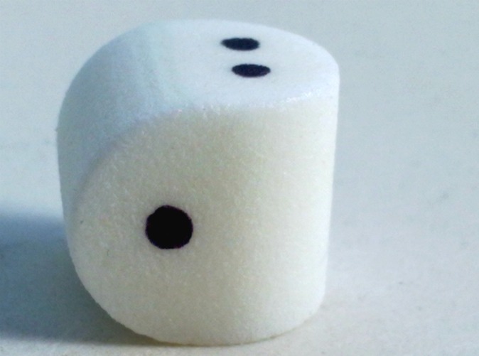 two-sided-dice.jpg