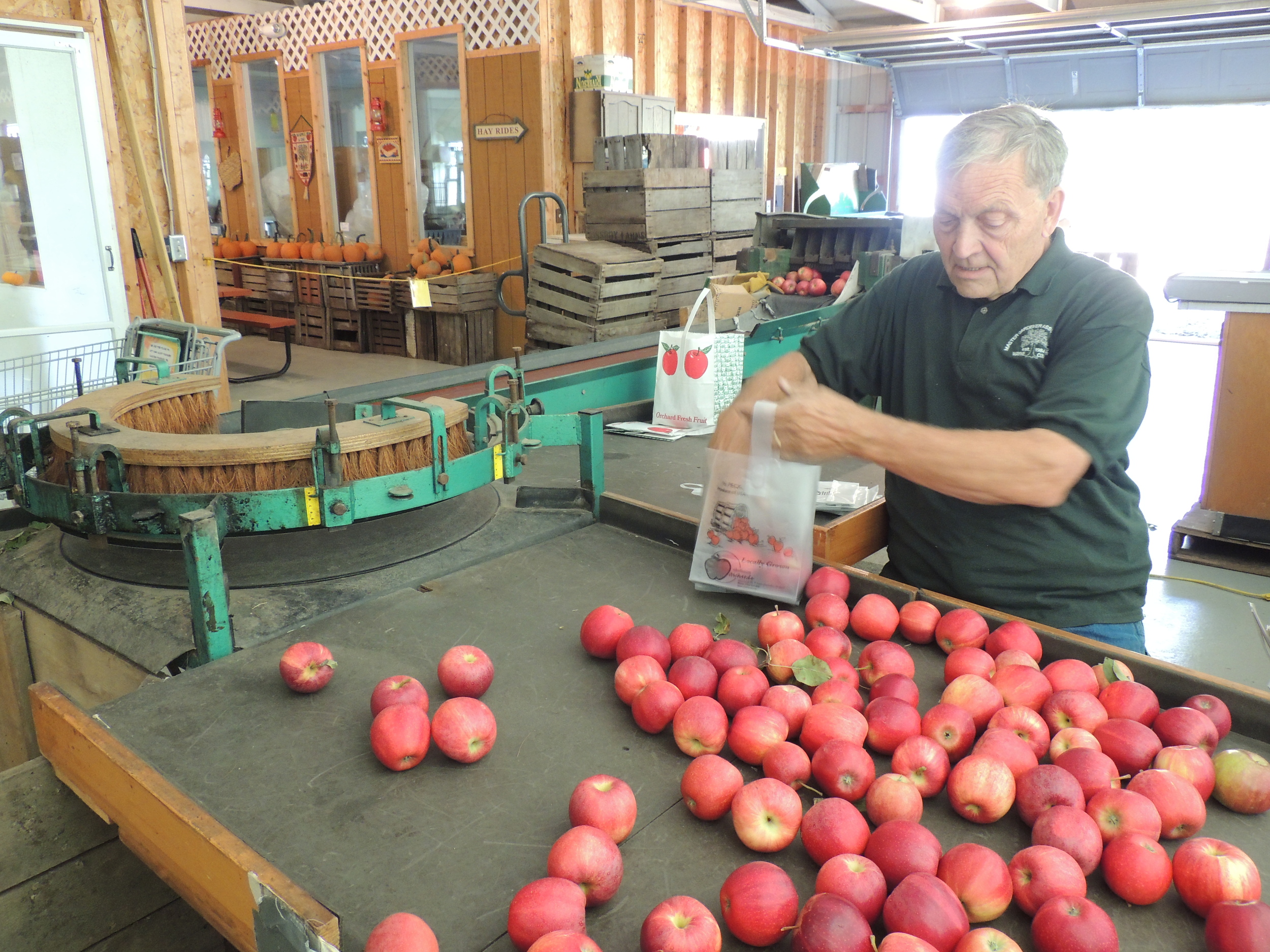 AppleSorter - Copy.JPG