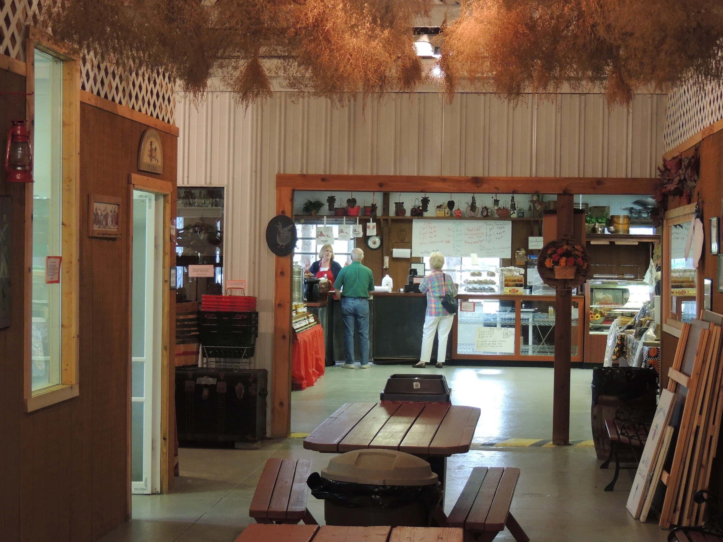 Orchard 2013 039.JPG