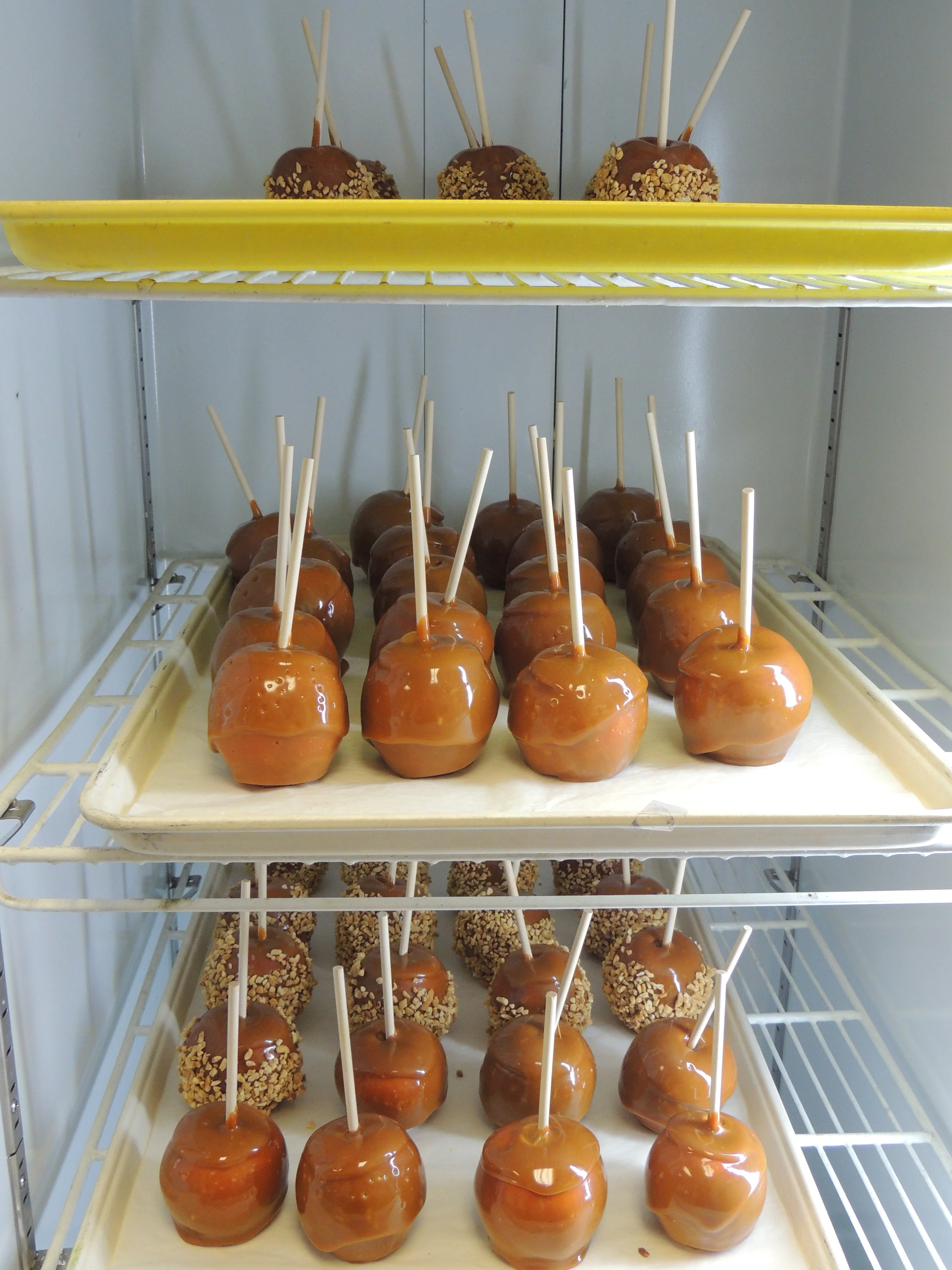 Orchard Pics II 025.JPG