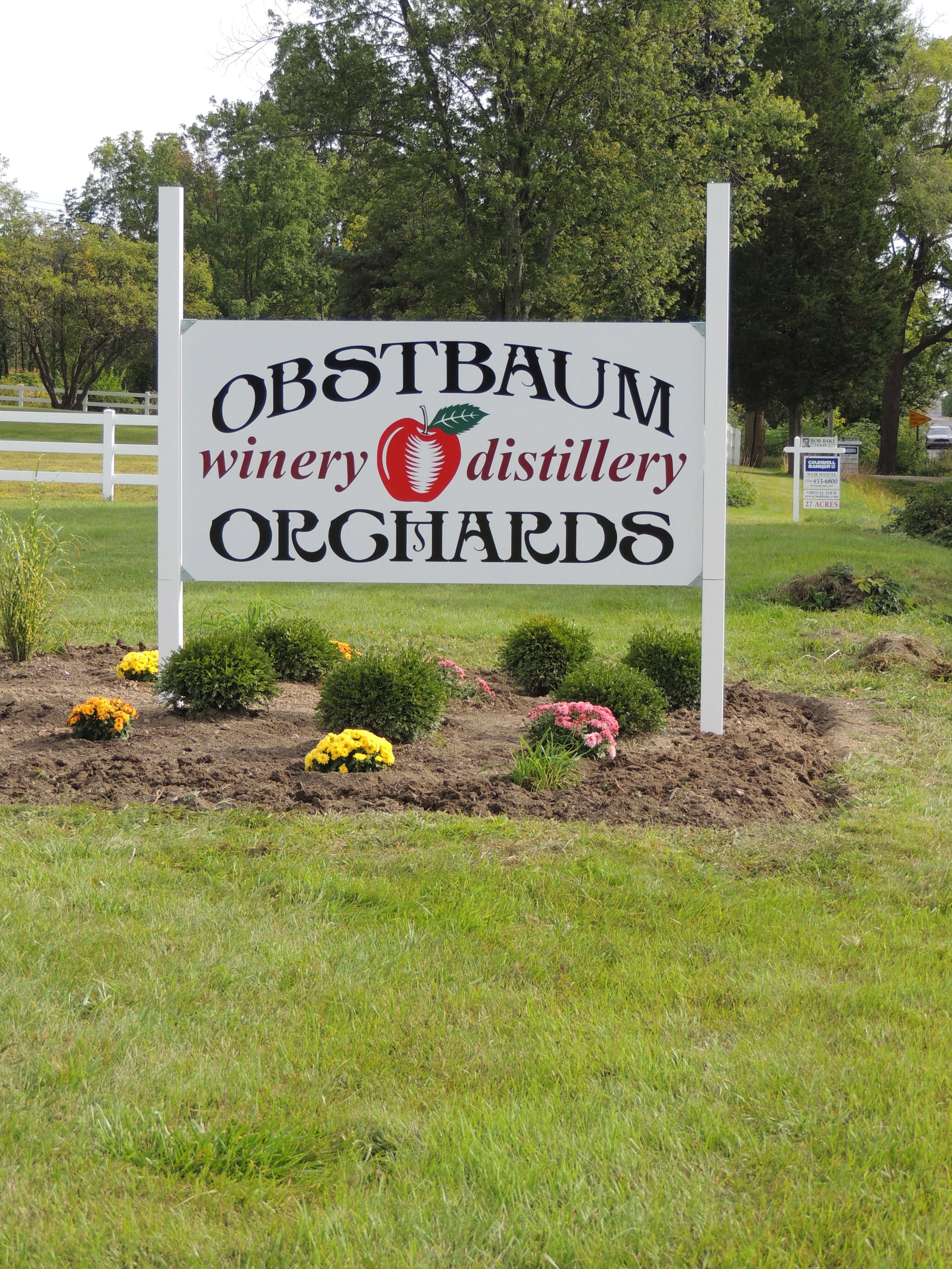 Orchard 2013 095.JPG