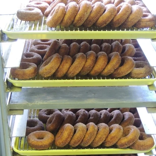 Orchard Pics II 027.JPG