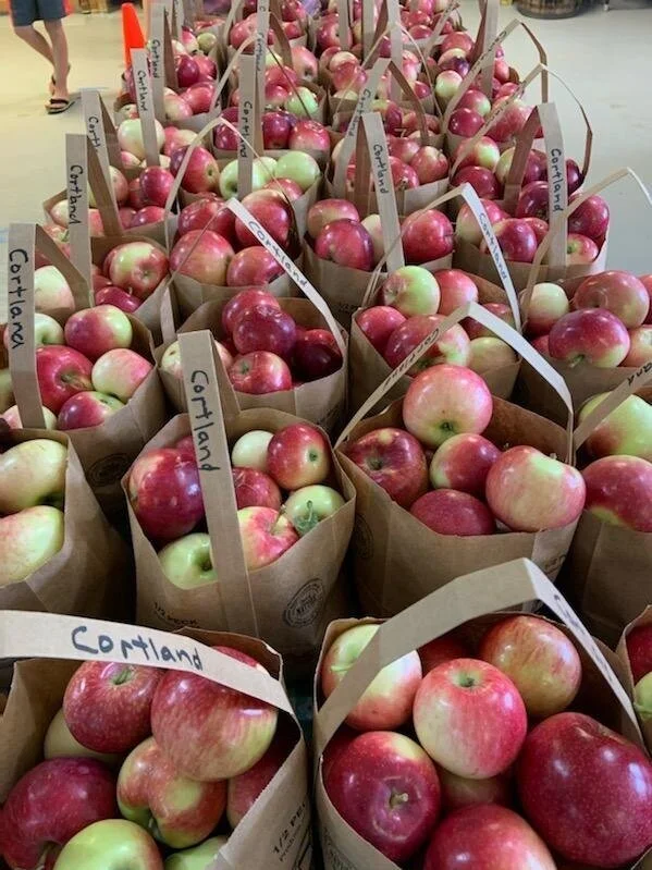 First apples of fall 2020
