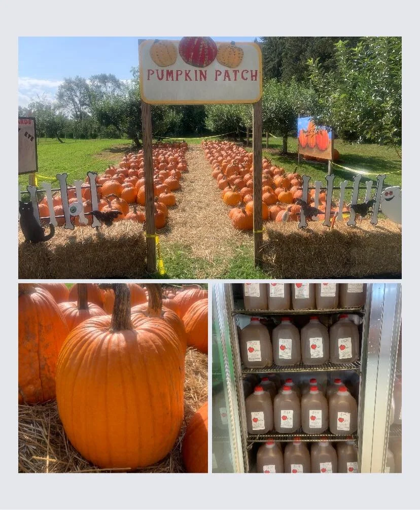 9/18-19: Honeycrisp and Pumpkins! 