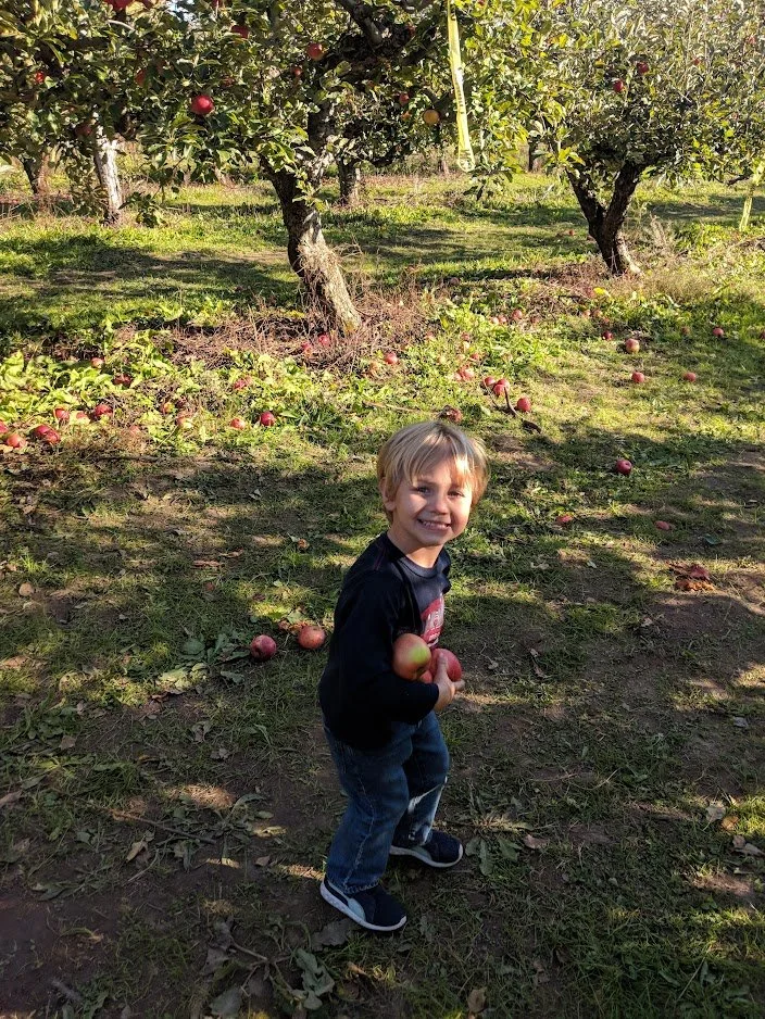 Upick on Red Delicious and Ida Red Available...only 4 more weekends this fall!