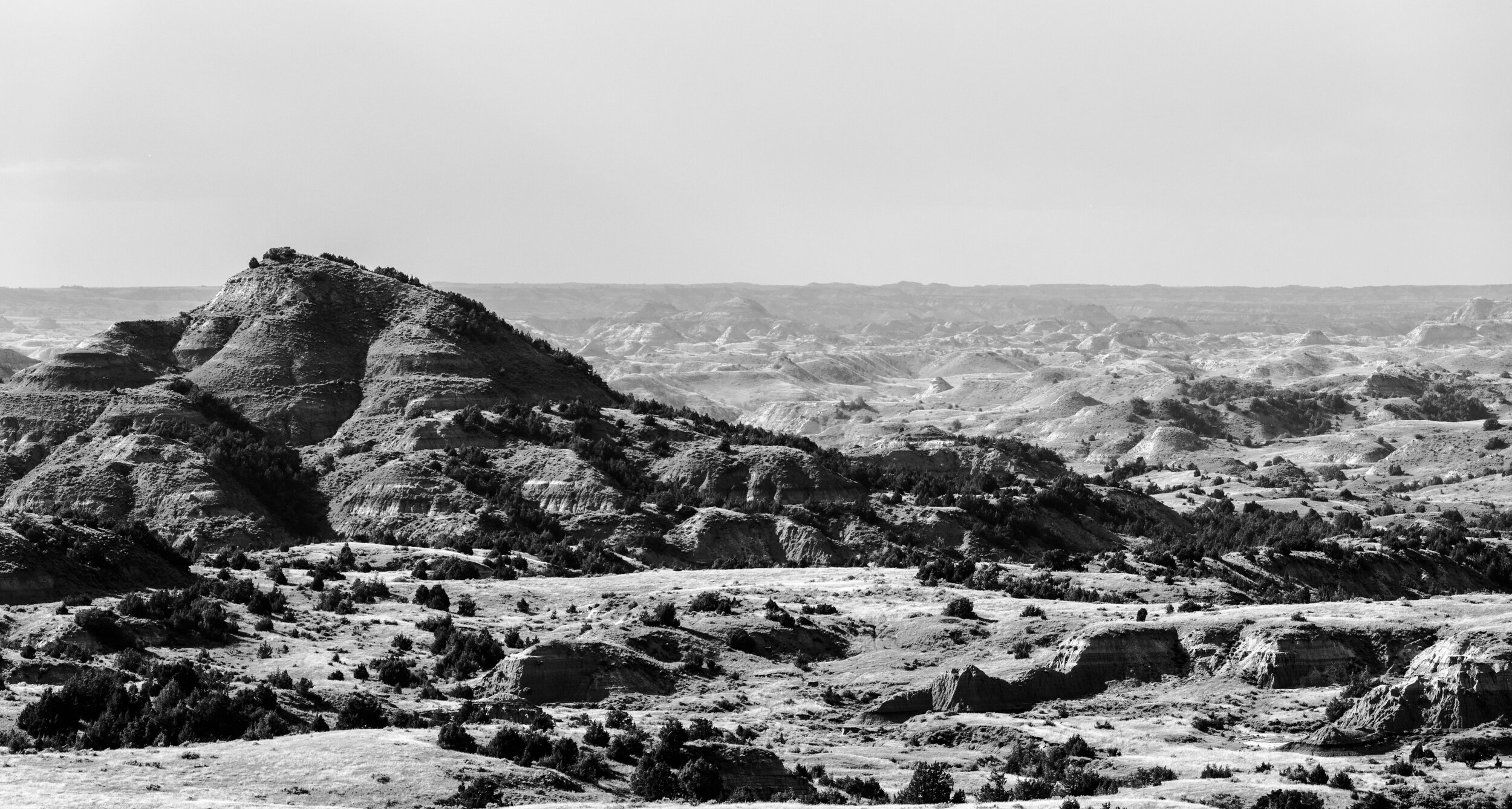 4N5A6265-2.jpg