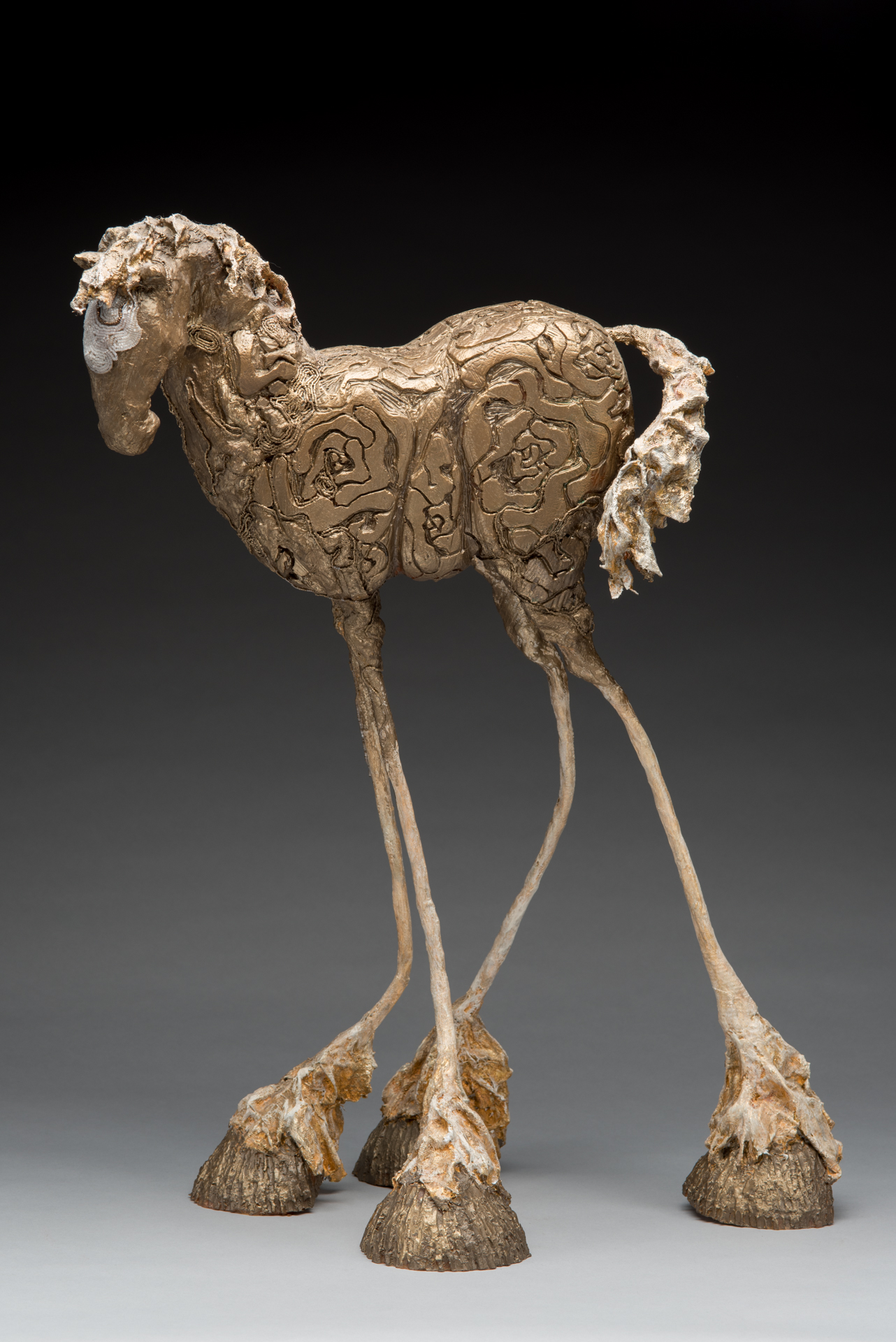 Variations on a Theme, Ol.jpg