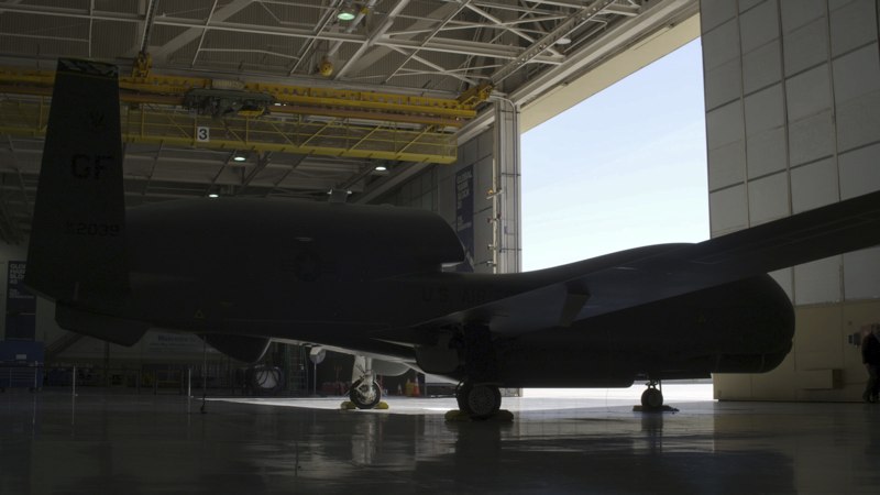 NG_DirectorsCut_global hawk.jpeg