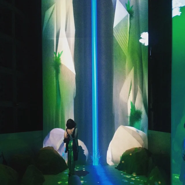 Realizing you are a small piece of a large puzzle at #ConnectedWorlds @nysci... www.wheresmy.house