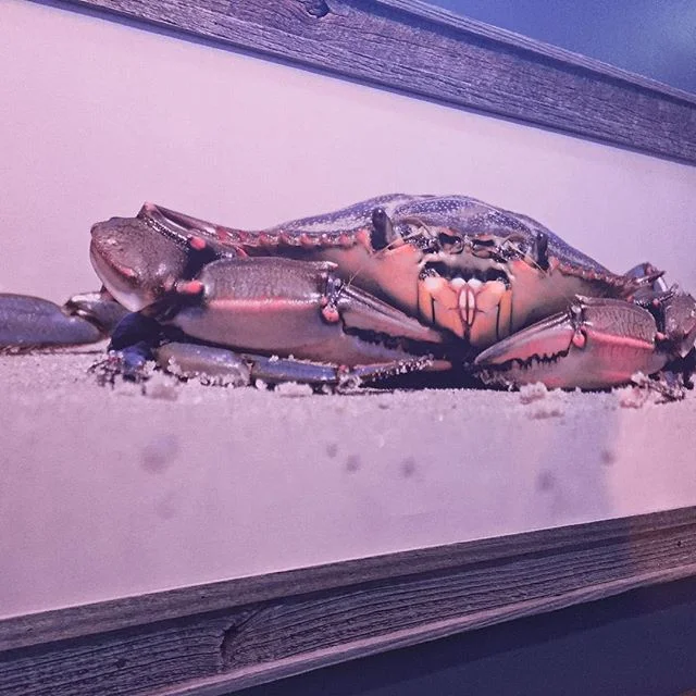 #Wildwood vacation! More pics at www.wheresmy.house 🏡