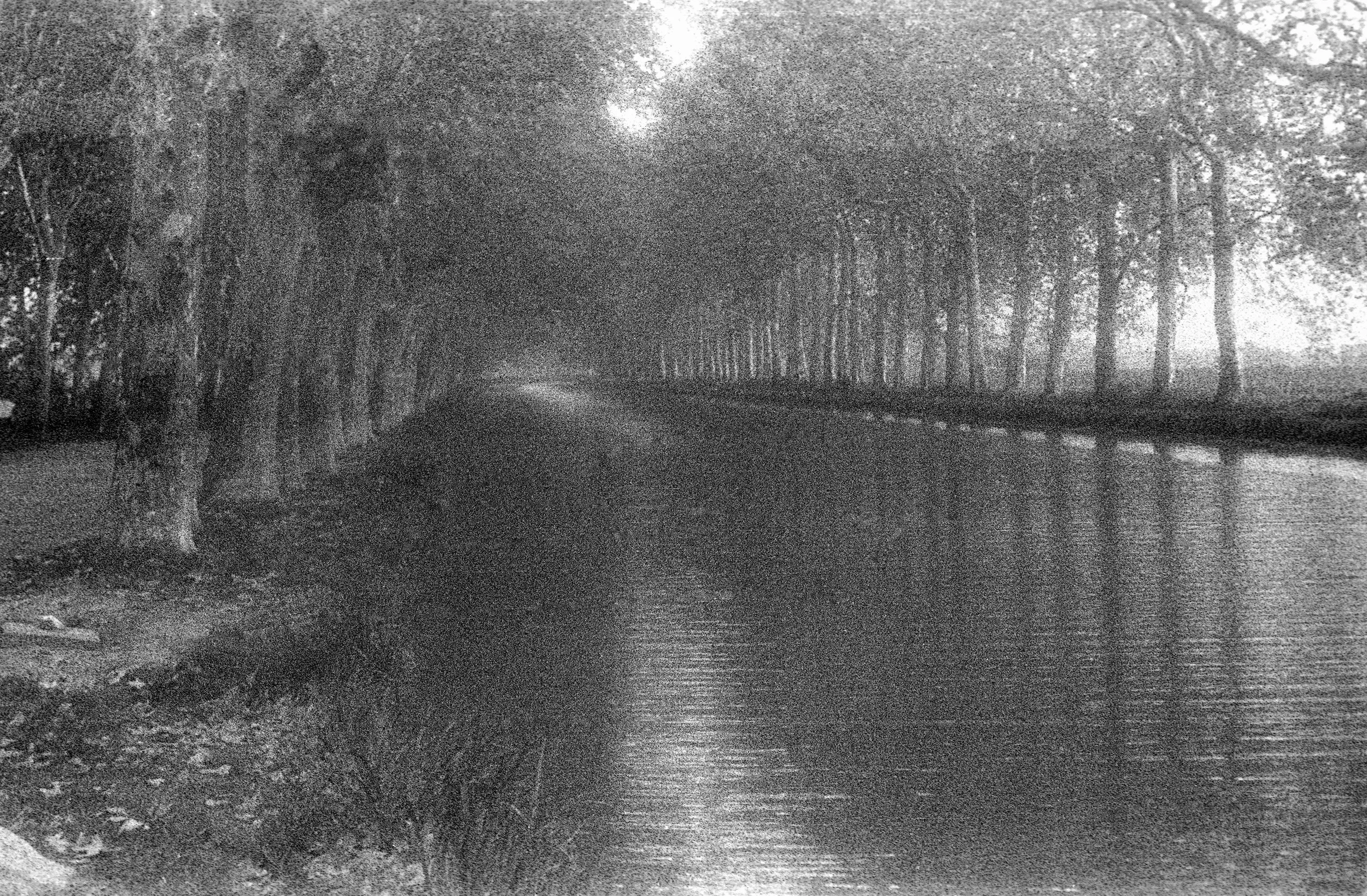 Ode To Monet, Southern France