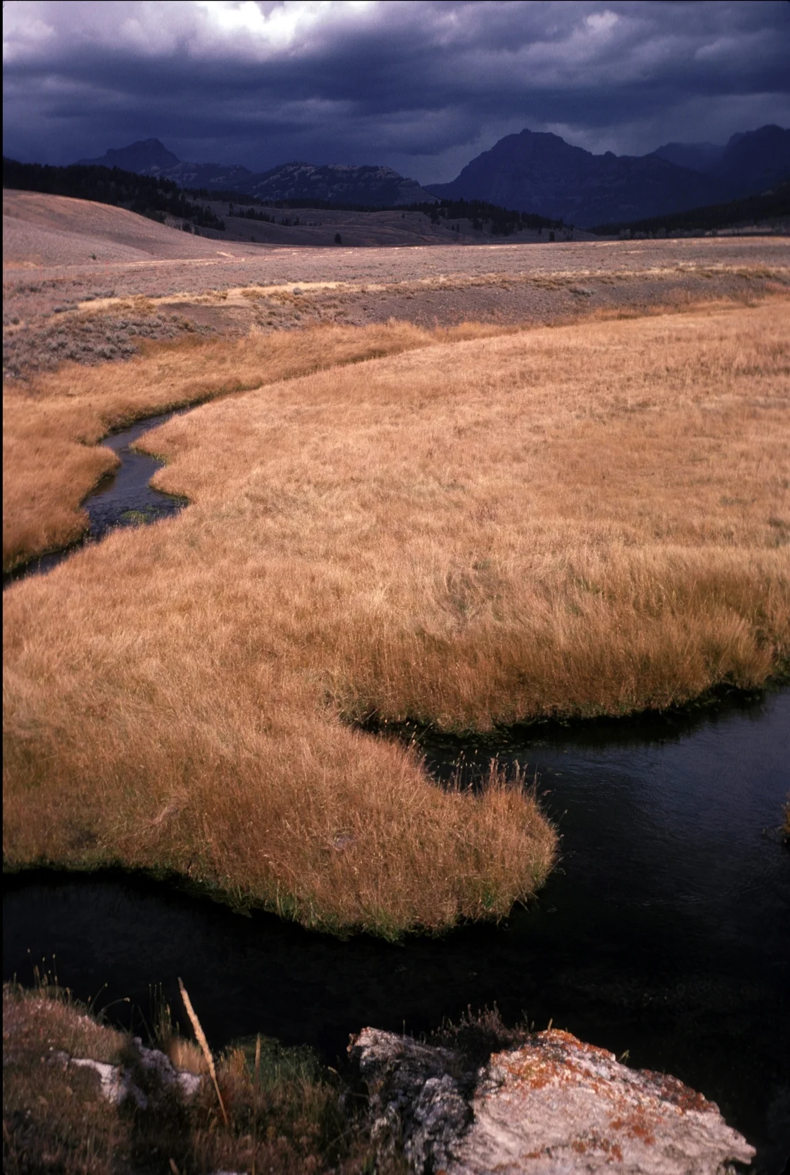 Lamar Basin, Yellowstone National Park