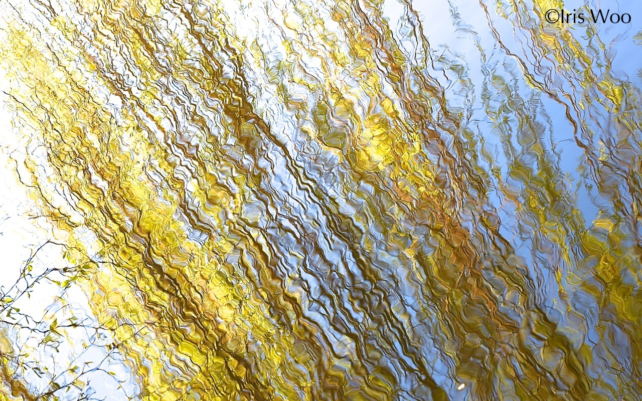 Vancouver, BC, Canada