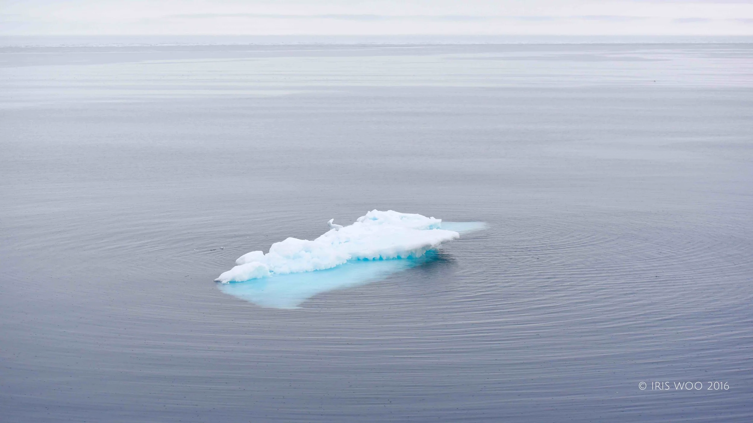 Lonely Ice
