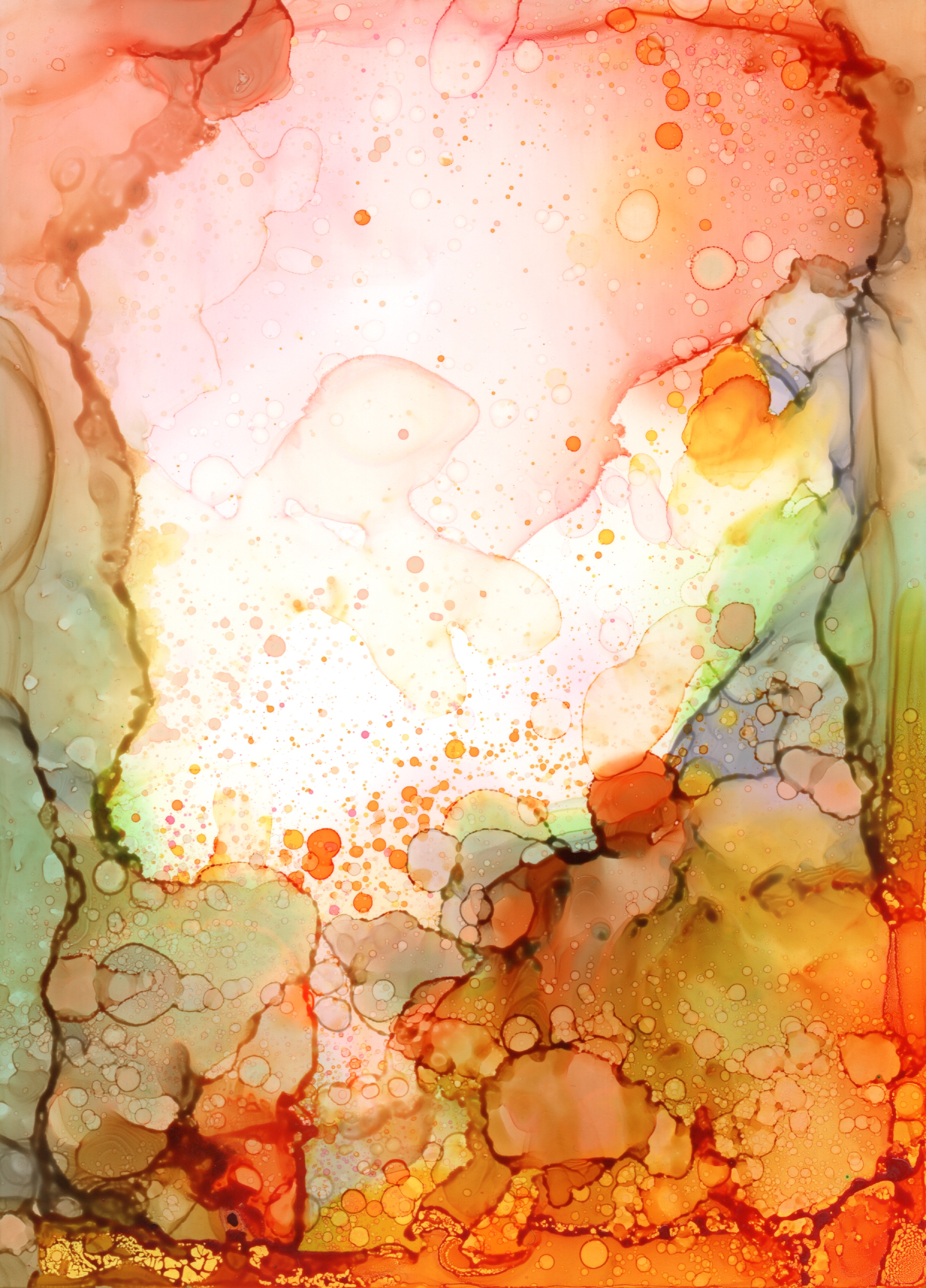 Nebula30BIS.jpg