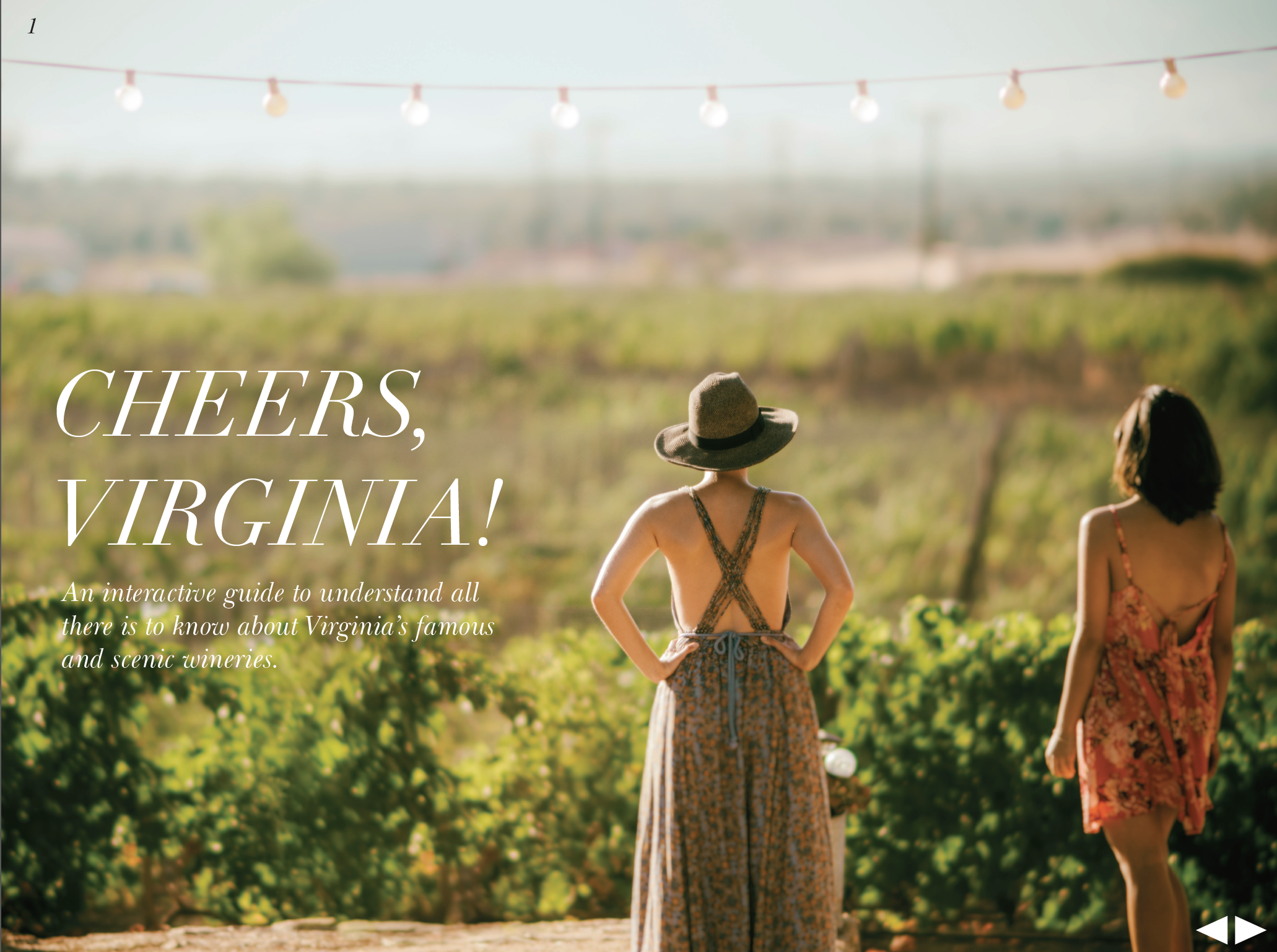 Virginia Wineries E-book