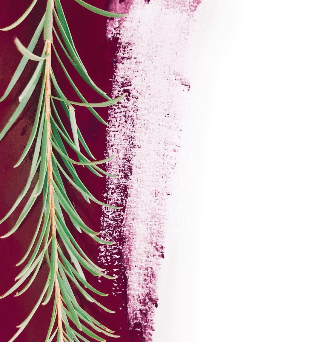 Screen Shot 2018-12-05 at 3.49.27 PM.png