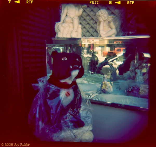 Holga: Dog In Plastic #8