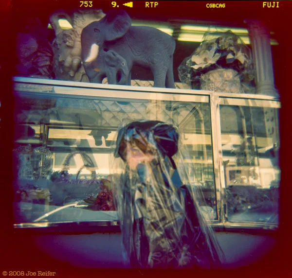 Holga: Dog In Plastic #9