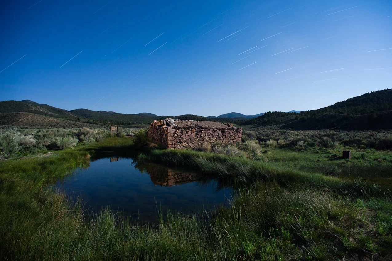 joereifer_8226w.jpg