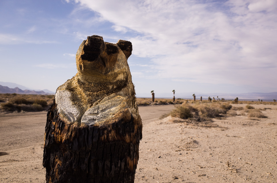 mojave_20150405_038w.jpg